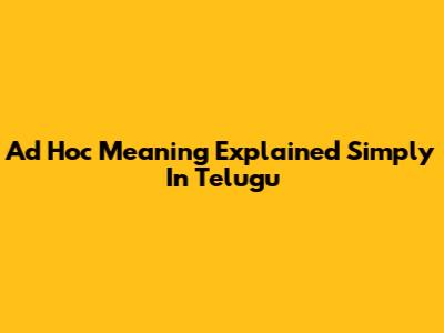 Ad Hoc Meaning Explained Simply In Telugu