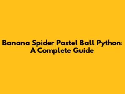Banana Spider Pastel Ball Python: A Complete Guide