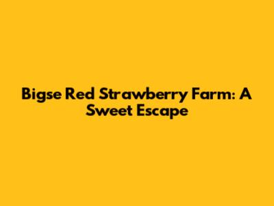 Bigse Red Strawberry Farm: A Sweet Escape