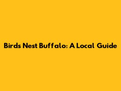 Bird's Nest Buffalo: A Local Guide