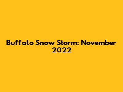 Buffalo Snow Storm: November 2022