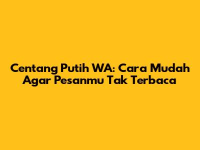 Centang Putih WA: Cara Mudah Agar Pesanmu Tak Terbaca