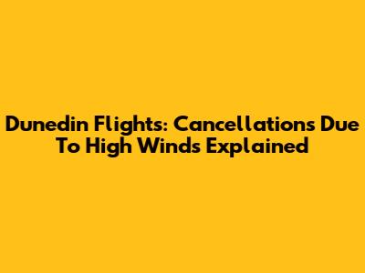 Dunedin Flights: Cancellations Due To High Winds Explained