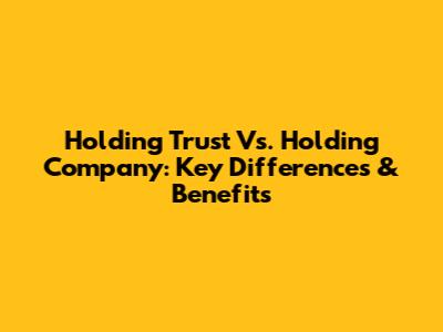 Holding Trust Vs. Holding Company: Key Differences & Benefits