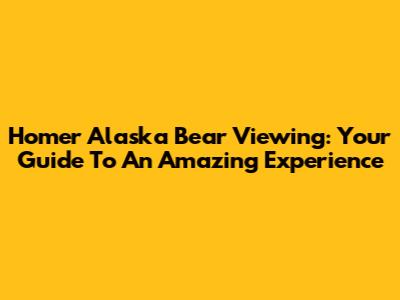 Homer Alaska Bear Viewing: Your Guide To An Amazing Experience
