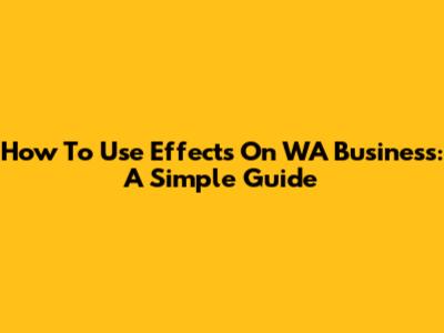 How To Use Effects On WA Business: A Simple Guide