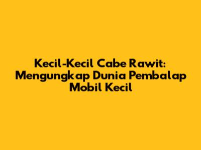 Kecil-Kecil Cabe Rawit: Mengungkap Dunia Pembalap Mobil Kecil