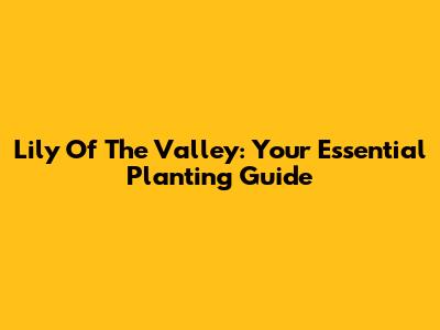 Lily Of The Valley: Your Essential Planting Guide