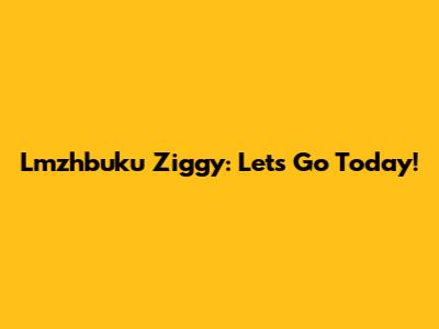 Lmzhbuku Ziggy: Let's Go Today!