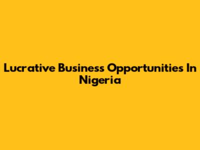 Lucrative Business Opportunities In Nigeria