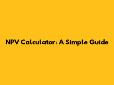 NPV Calculator: A Simple Guide