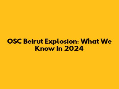 OSC Beirut Explosion: What We Know In 2024