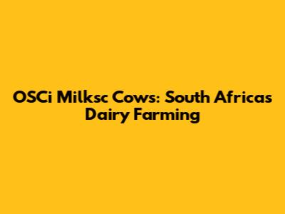 OSCi Milksc Cows: South Africa's Dairy Farming