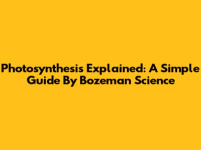 Photosynthesis Explained: A Simple Guide By Bozeman Science