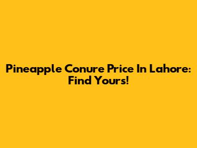 Pineapple Conure Price In Lahore: Find Yours!