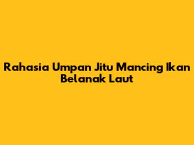 Rahasia Umpan Jitu Mancing Ikan Belanak Laut