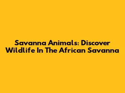 Savanna Animals: Discover Wildlife In The African Savanna