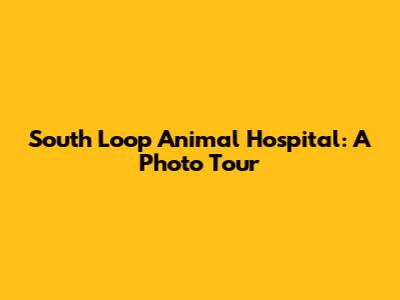 South Loop Animal Hospital: A Photo Tour