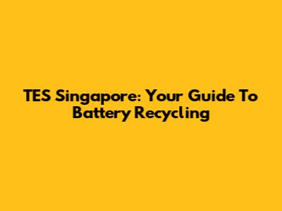 TES Singapore: Your Guide To Battery Recycling