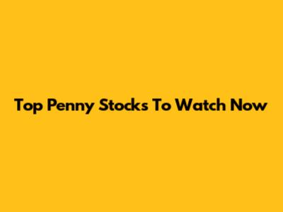Top Penny Stocks To Watch Now