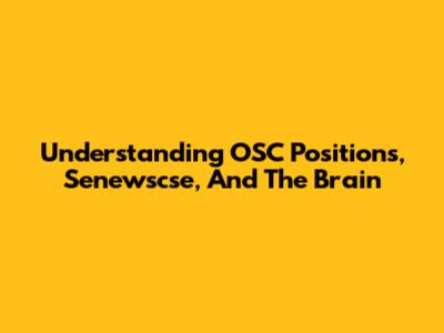 Understanding OSC Positions, Senewscse, And The Brain