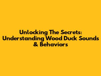 Unlocking The Secrets: Understanding Wood Duck Sounds & Behaviors