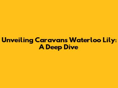 Unveiling Caravan's Waterloo Lily: A Deep Dive